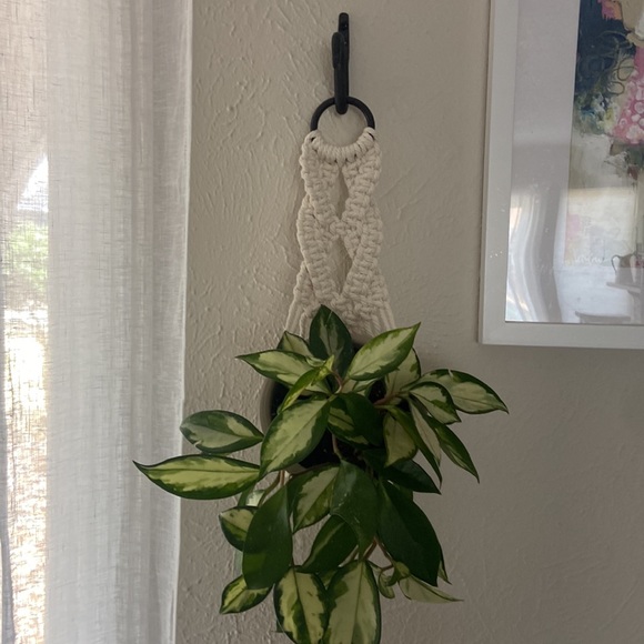 Macrame Wall Plant Holder with Iron Wall Hook - Picture 2 of 6